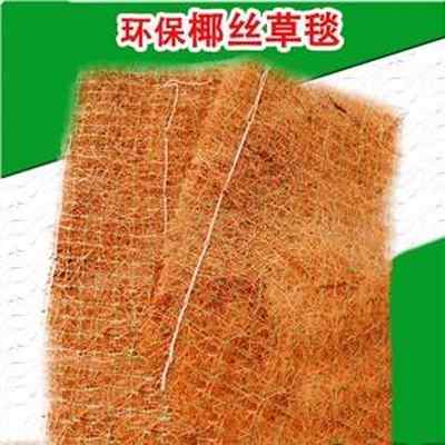 新闻 临沧市加筋植生毯生产厂家 欢迎您