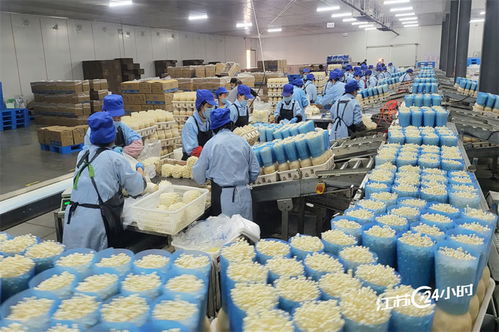 工厂化种植食用菌供应市场