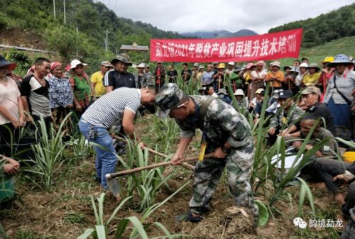产业技术培训 助推脱贫巩固