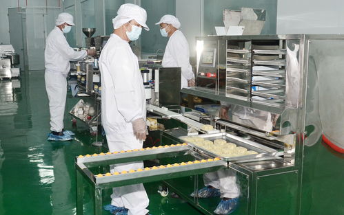 全球首个ai食品工厂落地 罗定市丝苗米产业园丝苗米初精深加工项目正式投产