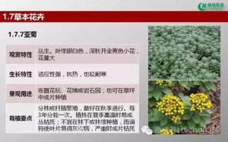 绿城集团园林软景苗木图谱,非常全面,值得借鉴 收藏